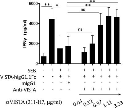 Establishment of an Ex Vivo Tissue Culture Model for Evaluation of Antitumor Efficacy in Clear Cell Renal Cell Carcinoma